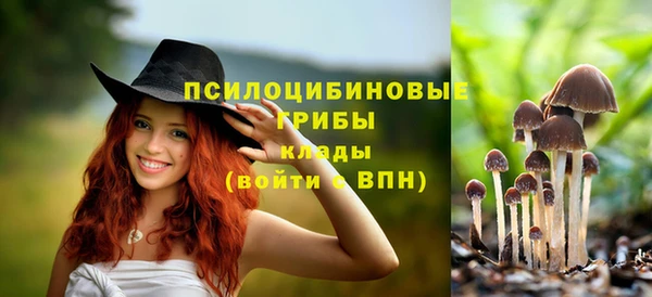 ALPHA PVP Алексин