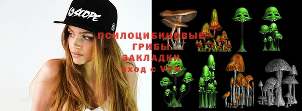 ALPHA PVP Алексин
