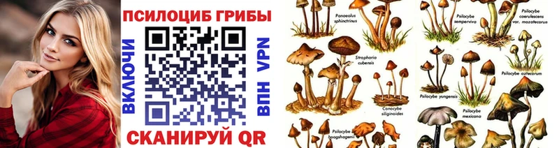 Псилоцибиновые грибы Magic Shrooms  Купить закладки  Великий Новгород 